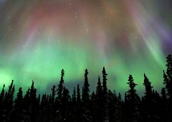 Northern Lights over the forest