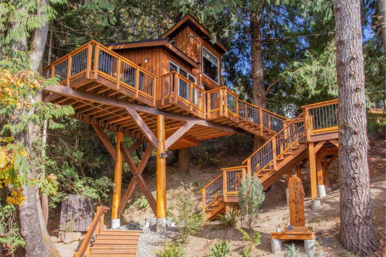The Owls Perch Vancouver Islands Highest Treehouse - British Columbia