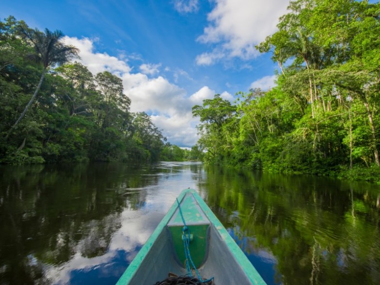 Amazon Jungles in Cuyabeno National Park, Ecuador