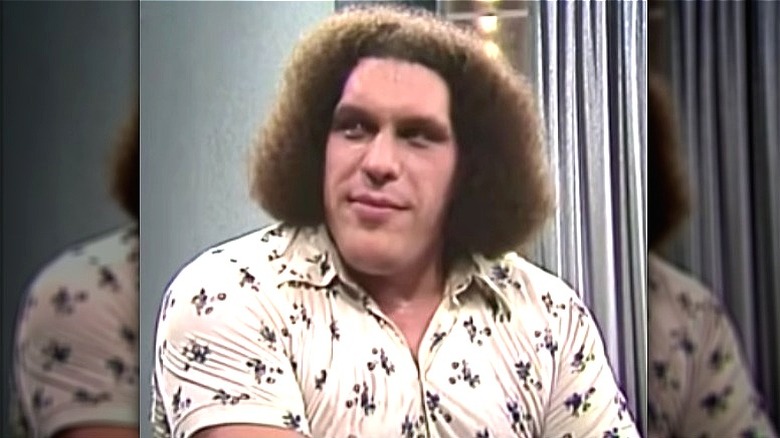 Andre the Giant in interview