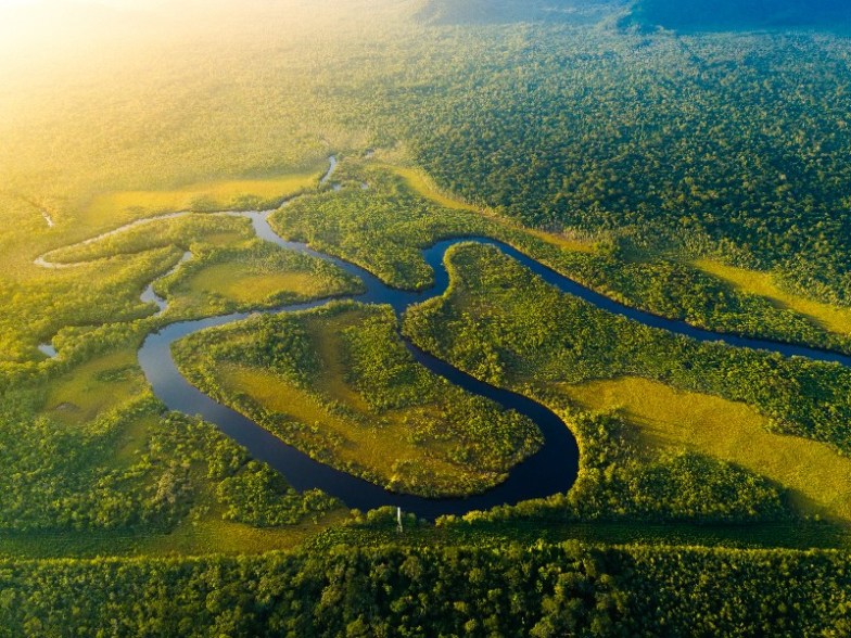 Aerial view of the Amazon Rainforest, Brazil