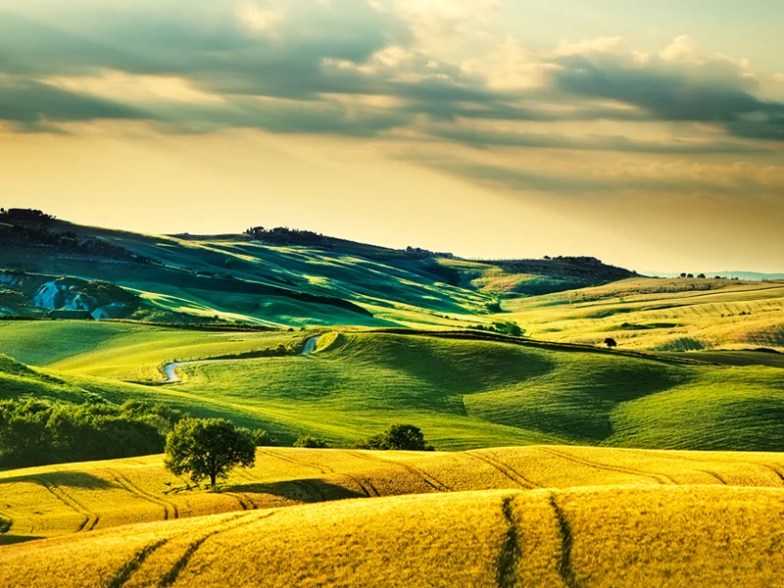 Volterra Rural Landscape