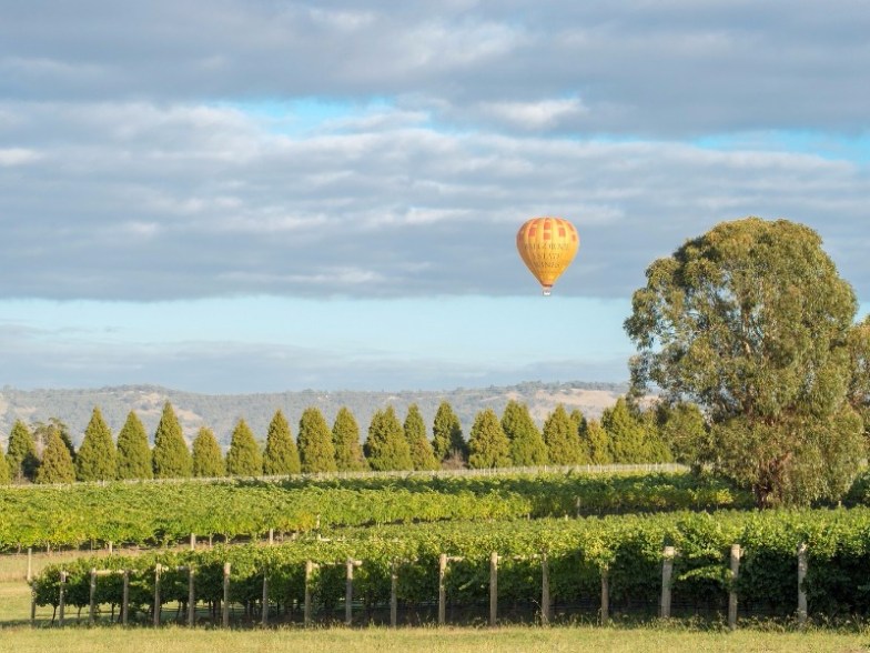 Yarra Valley, Australia hot air balloon