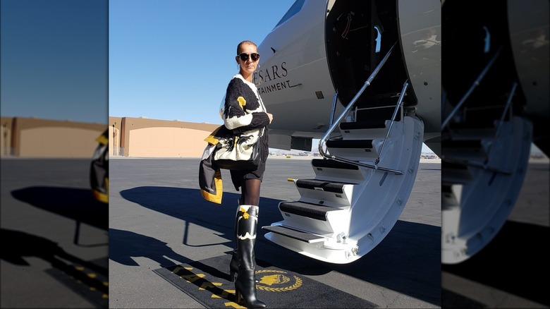 Celine Dion standing outside plane