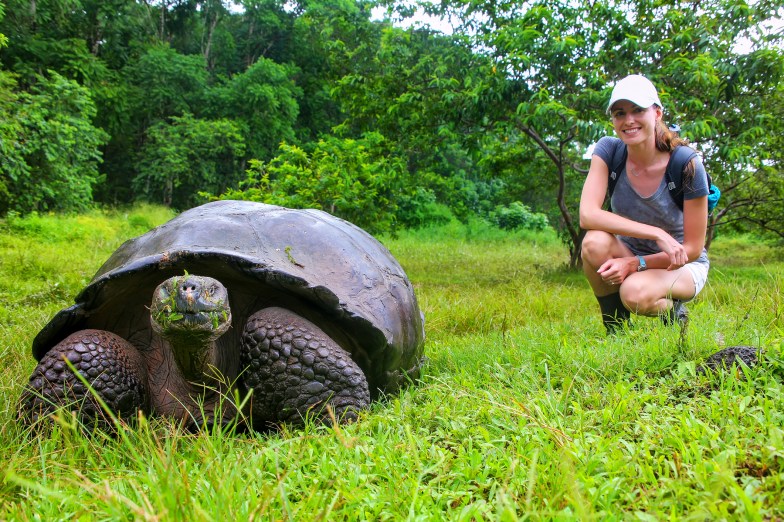 Galapagos giant tortoise, Santa Cruz Island