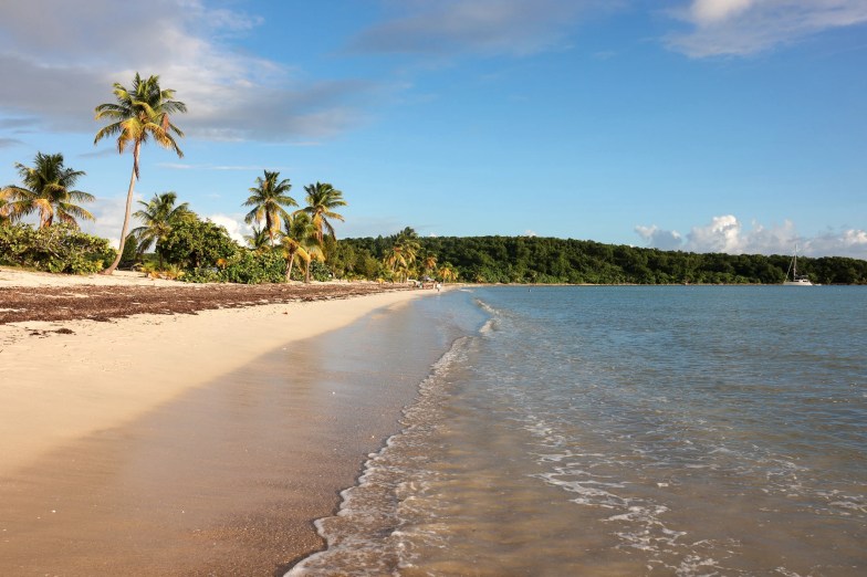 Sun Bay Beach in Vieques, Puerto Rico
