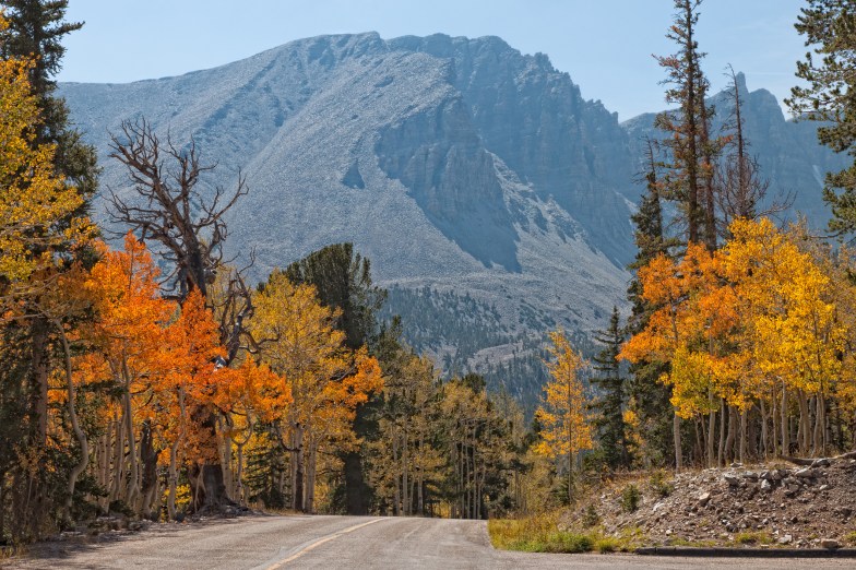 Fall drive in Great Basin National Park, Nevada