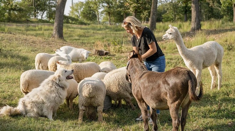 Jenny Marrs surrounded by farm animals