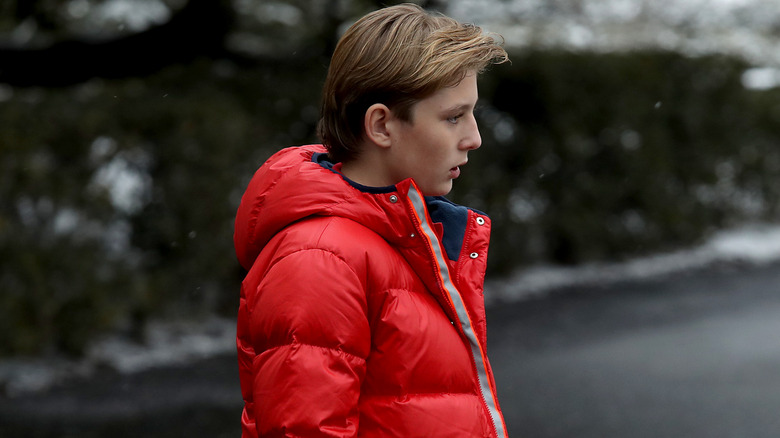 Barron Trump in profile