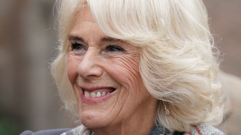 camilla parker bowles smiling