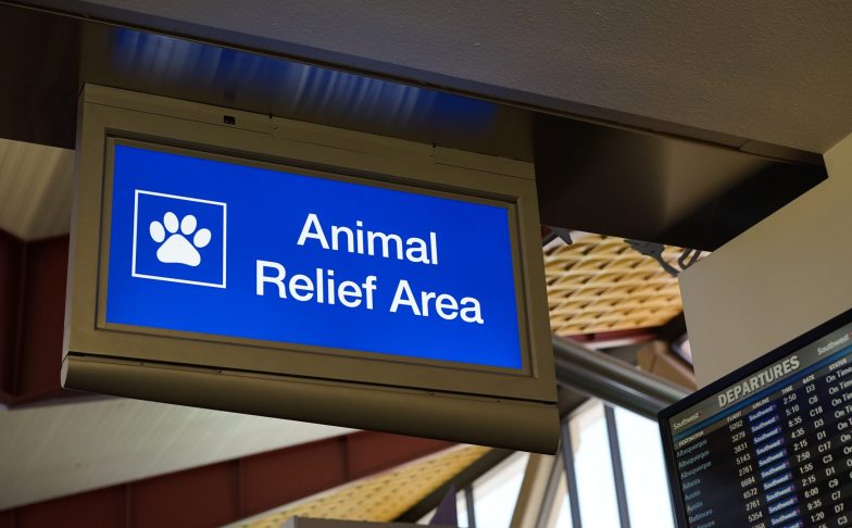 Pet Relief Area