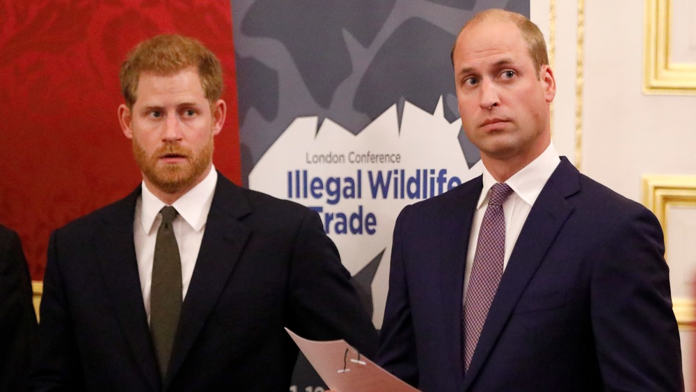 Prince William and Prince Harry both looking serious