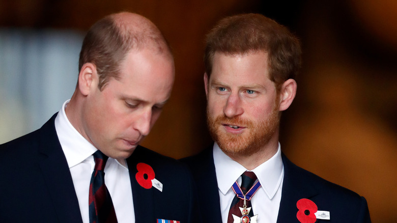 Prince Harry talking to Prince William